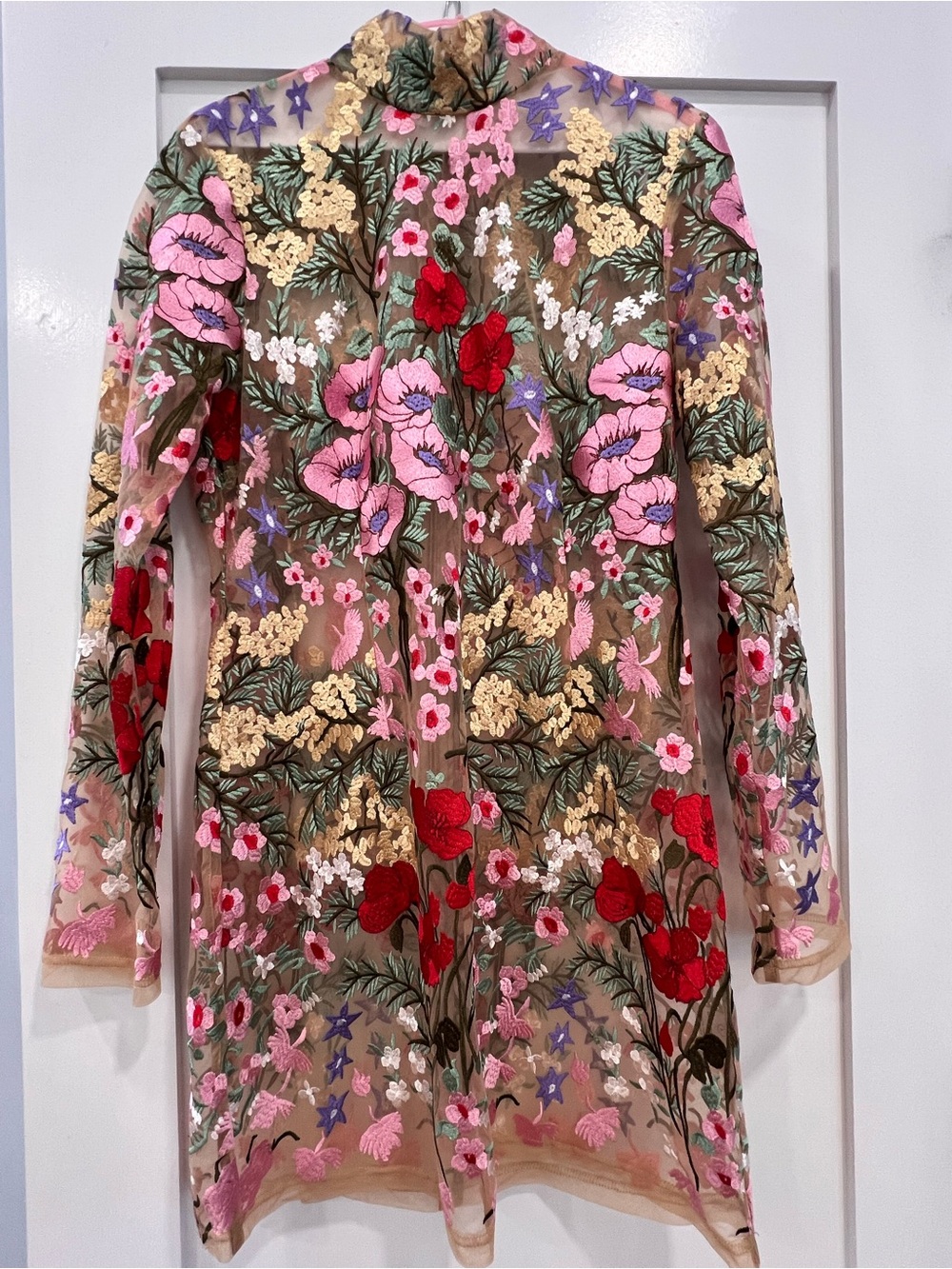 Sheer Floral Embroidered Long-Sleeve Dress - Pink, Red & beige - Picture 4 of 5